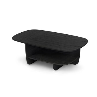 Woodendot Ibon Coffee Table with Storage - large 